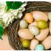 Pack of 24 Small Unfinished Wood Easter Craft Eggs - 1-1/8 inch for Decorating and Ornaments | by Woodpeckers - Buy Online on GoSupps.com