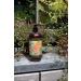 Buy Kew Gardens Luxury Hand & Body Wash - Refreshing Aloe Vera & Vitamin E Bergamot & Ginger - International Shipping Available - Buy Online on GoSupps.com