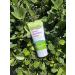 Boogie Insect Repellent Lotion - DEET-Free 14-Hour Protection Against Mosquitoes Ticks & Flies - Fragrance-Free Odorless 6oz - International Shipping - Buy Online on GoSupps.com