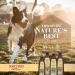 Burt's Bees Hydrating Shampoo for Puppies - 16 fl oz with Coconut Oil - Buy Online on GoSupps.com