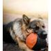 Dingo Gear Training Toys Ball 19 cm - Black & Orange with Handle | French Nylcott for Obedience & IGP Training - S02800 Giga B ll - Buy Online on GoSupps.com