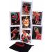 Chicago Bulls Cards Michael Jordan, Scottie Pippen, Dennis Rodman, Ron Harper, Toni Kukoc, Steve Kerr, Luc Longley 1997-98 Finals Team Gift Pack