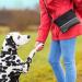 Twivee Dog Training Treats Bag - One-Handed Snap Lock Removable Inner Pocket Carabiner - Gray - Buy Online on GoSupps.com