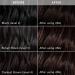 Madison Reed Radiant Hair Color Kit - Messina Brown (4NA) - Shades of Black - Pack of 1 - Buy Online on GoSupps.com