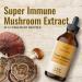 Super Immune Mushroom Complex Liquid Extract - 4 fl. Oz Vegan Tincture with Lions Mane, Reishi, Shiitake, Turkey Tail & Chaga - Immune Support & Energy Supplement - Buy Online on GoSupps.com