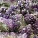 Amethyst Crystals Natural Amethyst Cluster Purple Crystal Quartz Specimen Home Decor JIZTGEDM (Size : 100-120g) - Buy Online on GoSupps.com