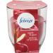 Febreze Febreze Candle Apple Spice & Delight Air Freshener 155 g (Pack of 6)- Packaging May Vary - Buy Online on GoSupps.com