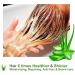 Canary Islands Fresh 100% Natural Aloe Vera Gel - 500 ml (17.6 fl oz) for DIY Cosmetics, Face & Body Care, Hair Repair, After Sun, Wax Aftercare - Moisturizer and Soothing Gel - Buy Online on GoSupps.com