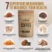 La Republica Big Shot Organic Mushroom Coffee - 120 Servings | 7 Superfood Mushrooms | Lion's Mane, Reishi, Chaga, Cordyceps, and More | Caffeinated Instant Mushroom Powder - 8.48 Ounce Pack - Buy Online on GoSupps.com