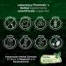 FITO MEDIC'S Lab Lions Mane 5000mg 120 Capsules - Mental Clarity, Focus and Memory Support - High Absorption Mushroom Supplement - Buy Online on GoSupps.com