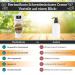 Swedish Herbs Cream Balm | Cortisone-Free | Soothes Dry Skin & Wounds | Herbsnroots 100ml - Buy Online on GoSupps.com