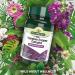Natures Aid Vegan Digestive Enzyme Complex with Betaine HCl 60 Tablets - Buy Online on GoSupps.com