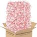 Muchai Innovations Mini Candy Canes Peppermint Flavored | Red & White Stripes - Individually Wrapped Gift Pack | Holiday Christmas Candy (100 Pieces)