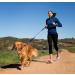 Halti Active Lead Size Large Blue - Shock-Absorbing Bungee Dog Leash for Running & Training - Neoprene Padded Belt & Lead - Medium & Large Dogs - Buy Online on GoSupps.com
