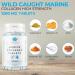 Marine Collagen Peptide Tablets 1200MG - 6 Month Supply - 180 High Strength Hydrolyzed Tablets for Skin, Hair, Muscle & Joints - Buy Online on GoSupps.com