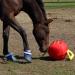 Signature Horsemen's Pride 14-Inch Horse Jolly Tug Blue one size - Buy Online on GoSupps.com