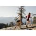 Swiftwick Flite XT Trail Five Running and Hiking Socks - Stripe Aqua Large - Buy Online on GoSupps.com