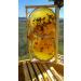 Pure All Natural Wild Flower Honey - Unfiltered Crystallized Natural Raw Honey (1.5Kg) 1.5 Kilograms - Buy Online on GoSupps.com