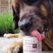 MjAMjAM - premium wet food for dogs - pure meat pleasure - delicious pure kangaroo 6 pack (6 x 800 g) grain free with extra meat - Buy Online on GoSupps.com