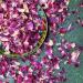 Edible 'Enchanted Forest' Pink Red and Burgundy Rose with Blue Cornflower Dried Flower Petal Mix - 50g - Food Grade - Culinary - Cake - Bake - Decoration (184) Cornflower 50g - Buy Online on GoSupps.com