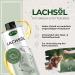 Lapura Salmon Oil for Dogs Cats & Horses - 100% Sustainable Omega 3 & 6 Fatty Acids | Cold-Pressed from Norway | 1L - Buy Online on GoSupps.com