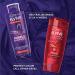 L'Oreal Elvive Color Vibrancy Purple Shampoo 6.7 fl oz | Toning & Brightening for Color-Treated Hair - Buy Online on GoSupps.com