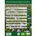 Biojoy Organic flax seeds (2.5 kg) brown and whole - Buy Online on GoSupps.com