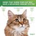 Vetoquinol Enisyl-F Lysine Bites for Cats & Kittens - Chicken Liver Flavor L-Lysine Chews 6.4oz - International Shipping Available - Buy Online on GoSupps.com