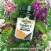Natures Aid Vitamin C 1000mg Time Release Tablets with Citrus Bioflavonoids - Immune System Support - Vegan - Made in the UK - Buy Online on GoSupps.com