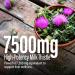 NANOWELL SILYMARIN Guard Milk Thistle 30:1 Extract 7500 mg Strength 90 Vegan Capsules - Buy Online on GoSupps.com