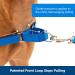 PetSafe Easy Walk No-Pull Dog Harness, Black/Silver, M/L - Buy Online on GoSupps.com
