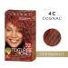 Clairol Professional Texture and Tones 4c Cognac Hair Color - Fade Resistant Permanent Dye (1 oz) - Buy Online on GoSupps.com