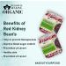Blessfull Healing Organice RED Kidney Beans 1 lb (453 Gram) - Buy Online on GoSupps.com