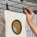 Designer Ferret Nation / Critter Nation Cozy Cube - Cozy and Stylish Hideout for Small Pets - Buy Online on GoSupps.com