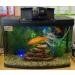 Interpet Insight Aquarium Auto Feeder - Black | Convenient Automatic Fish Feeding Solution - Buy Online on GoSupps.com