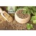 Naturevibe Botanicals Organic Coriander Seed Powder - 1lb (16oz) | Gluten-Free, Non-GMO, Raw | Rich in Minerals | Indian Spice - Buy Online on GoSupps.com