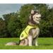 4Legriend Dog Safety Vest - High Visibility XL in Yellow | Outdoor Protection for Dogs 5 Sizes Day & Night Safety from Cars & Hunting Accidents - Buy Online on GoSupps.com
