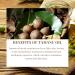 Attirent Organic Tamanu Oil - 30ml Natural Cold Pressed Oil - Boosts Cell Regeneration for Age Spots Acne Scars Sunburns & Skin Repair - Buy Online on GoSupps.com
