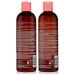 HASK Color Care Shampoo & Conditioner Set - Vegan, Color Safe, Gluten-Free, Sulfate-Free, Paraben-Free, Cruelty-Free - 1 of Each - Buy Online on GoSupps.com