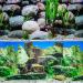 Hidom Aquarium Background Poster Double Sided - Height 19" / 50cm - Length 4 FT / 122cm - Two Scenic Pictures displaying Aquatic Backdrops - DS 500-9023/9025 - Buy Online on GoSupps.com