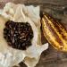 Organic Bare Cacao Alternative Drink | Low Calorie, Caffeine-Free, Vegan | High in Antioxidants & Minerals | 225g - Buy Online on GoSupps.com