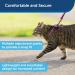 PetSafe Come with Me Kitty Harness & Bungee Leash - Dusty Rose/Burgundy - Perfect Fit for Small Cats - International Shipping Available - Buy Online on GoSupps.com