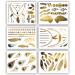 Terra Tattoos Gold Silver & Black Metallic Temporary Tats 75+ Egyptian Designs Feathers  Wings  Arrows Waterproof Nontoxic Long Lasting Perfect for Beach  Festivals  & more!
