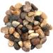 Belle Vous 3.6kg Bag Decorative Natural Pebbles - 1.4-2.6cm/ 0.55-1.02 inch Mini Assorted Pebble Stones - Mixed River Gravel for Vase Filler Plant Pots Landscaping Aquariums Home and Garden - Buy Online on GoSupps.com
