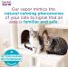 Comfort Zone Multi-Cat Diffuser Refills - 3 Pack | Veterinarian Recommended Solution for Peaceful Home, Stop Cat Fighting, Spraying & Scratching - Buy Online on GoSupps.com