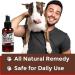 PetSilver Teeth & Gum Spray for Dogs and Cats - Chelated Silver Formula - Made in USA - 4 oz - Buy Online on GoSupps.com