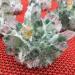 Home Decoration Natural Green Ghost Phantom Quartz Crystal Cluster Healing Specimen Chakra Stones Crystal Cluster