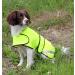 Cosipet Safety Coat 20-inch/51 cm Yellow - Buy Online on GoSupps.com