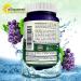 180 Capsules of 100% Natural Resveratrol with Red Wine Extract - Pure Heart Health Supplement - Extra Strength Antioxidant Pills - Buy Online on GoSupps.com