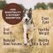 Primal Freeze Dried Beef Formula Dog Food 14oz - Made in USA, Grain-Free Raw Nuggets - Buy Online on GoSupps.com